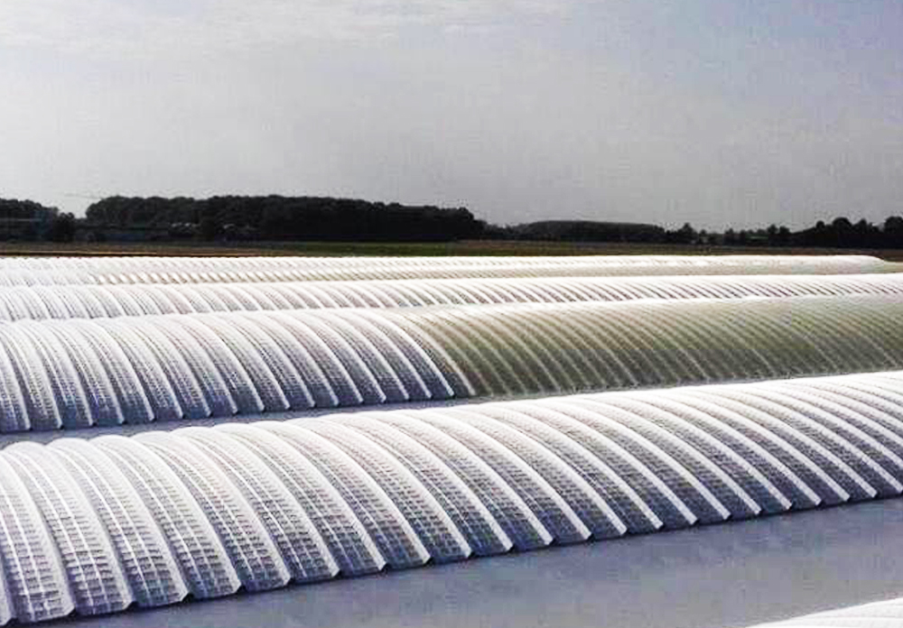 Imm. Primavera Cura Carpignano (Pv)